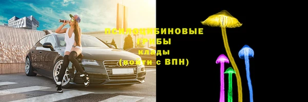 твердый Абинск