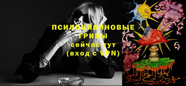 бошки Абдулино