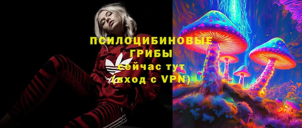 амф Абаза
