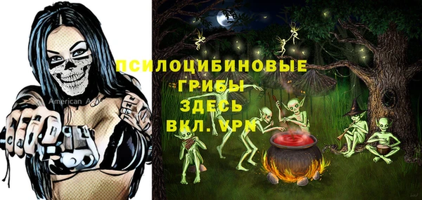 амф Абаза